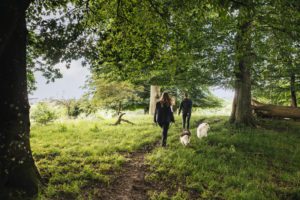 Dog-Friendly Holidays with Sellers Leisure