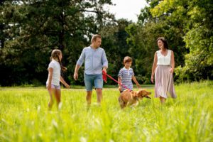 Our Range of Dog-Friendly Country Parks