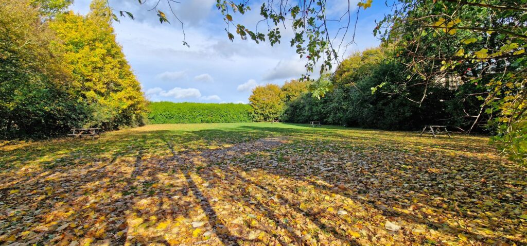 field_with_scattered_leaves_suffolk_polstead_seller_leisure