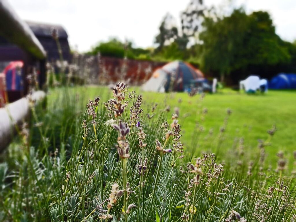 leisure_tent_spot_for_rent_essex_colchester_sellers_leisure